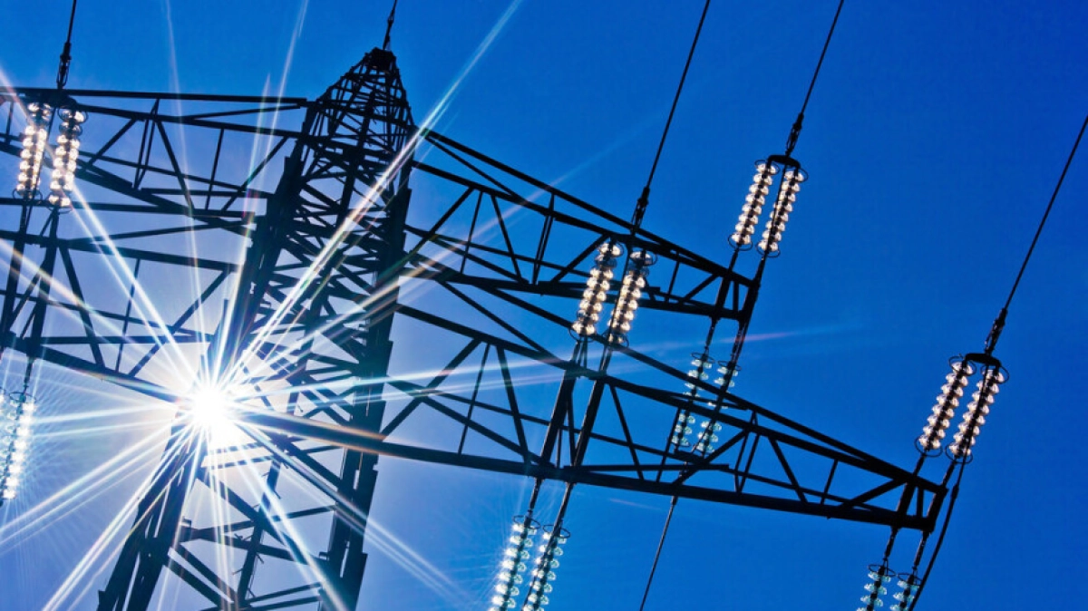 Фото : Shutterstock/FOTODOM