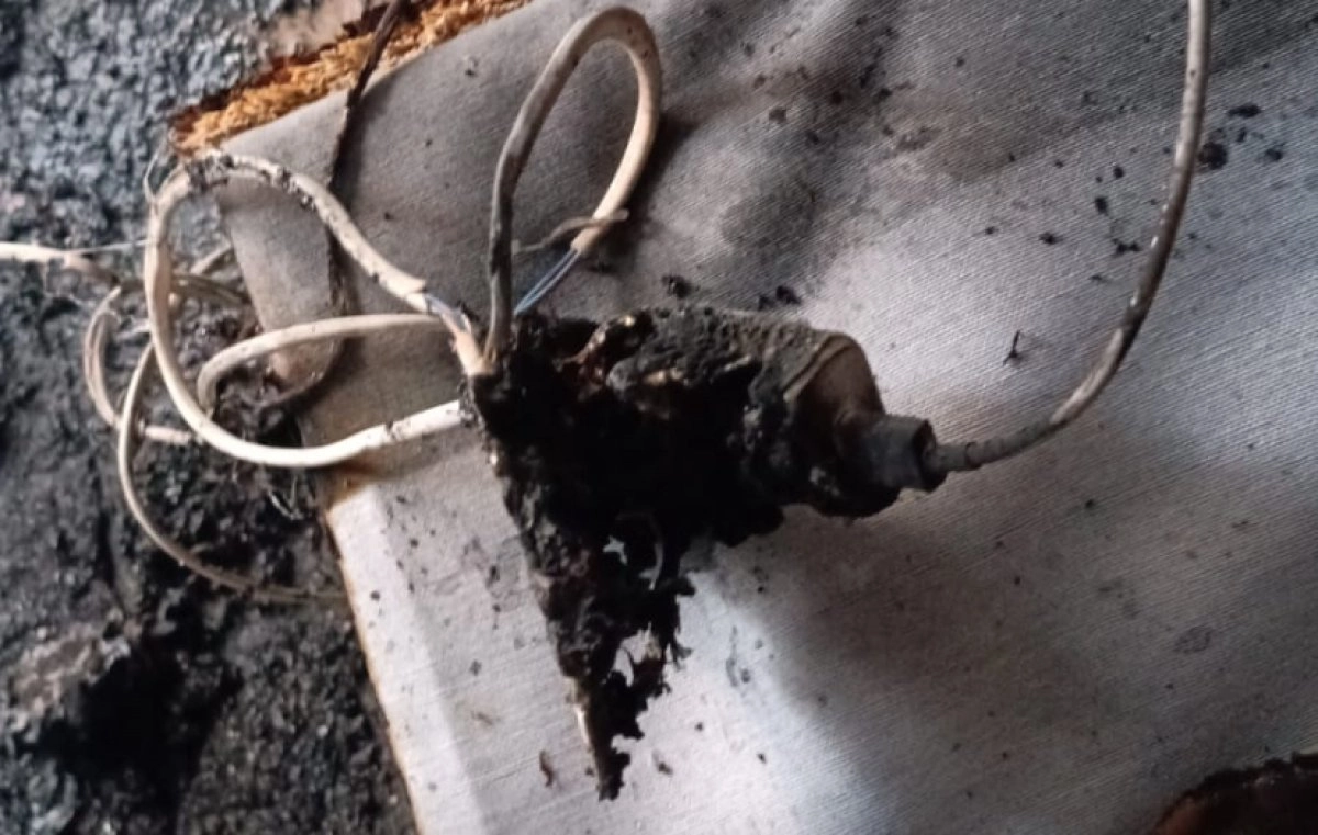 Фото: astanatv.kz