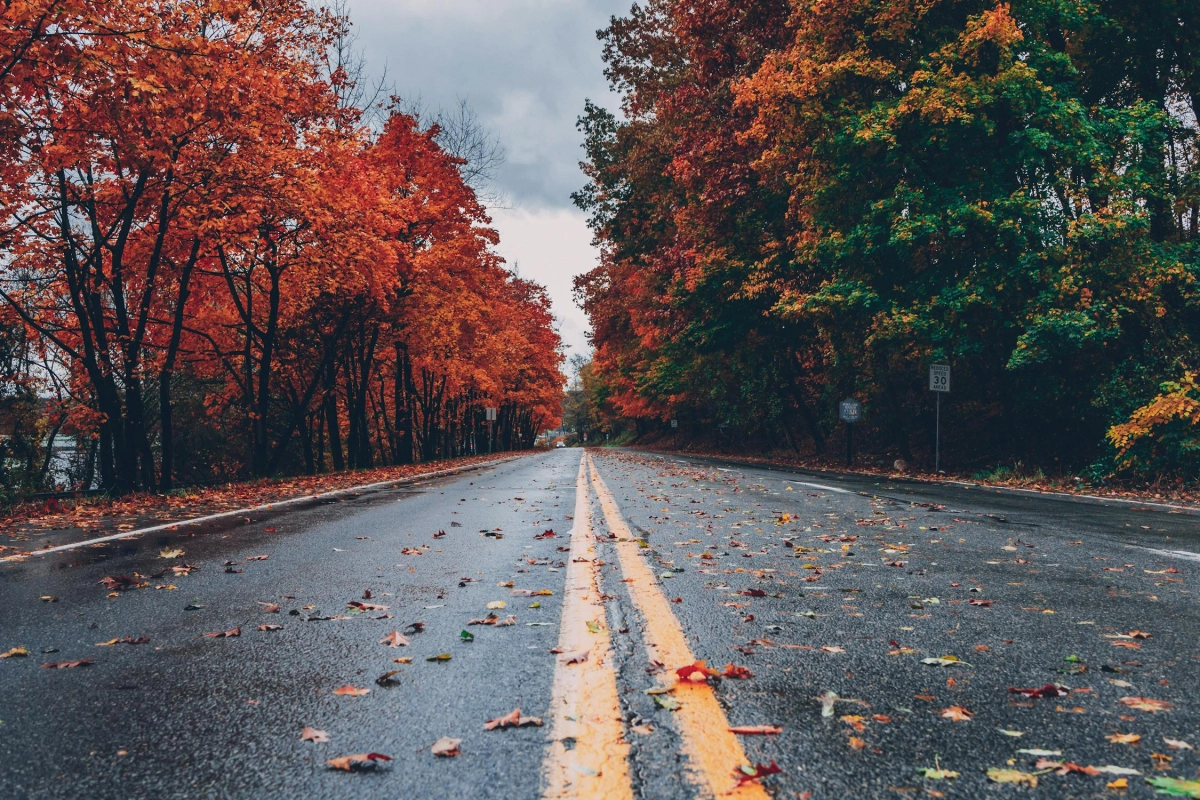 Фото: pexels