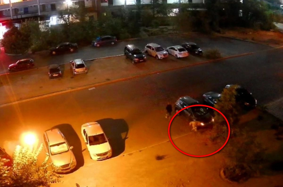 Кадр из видео