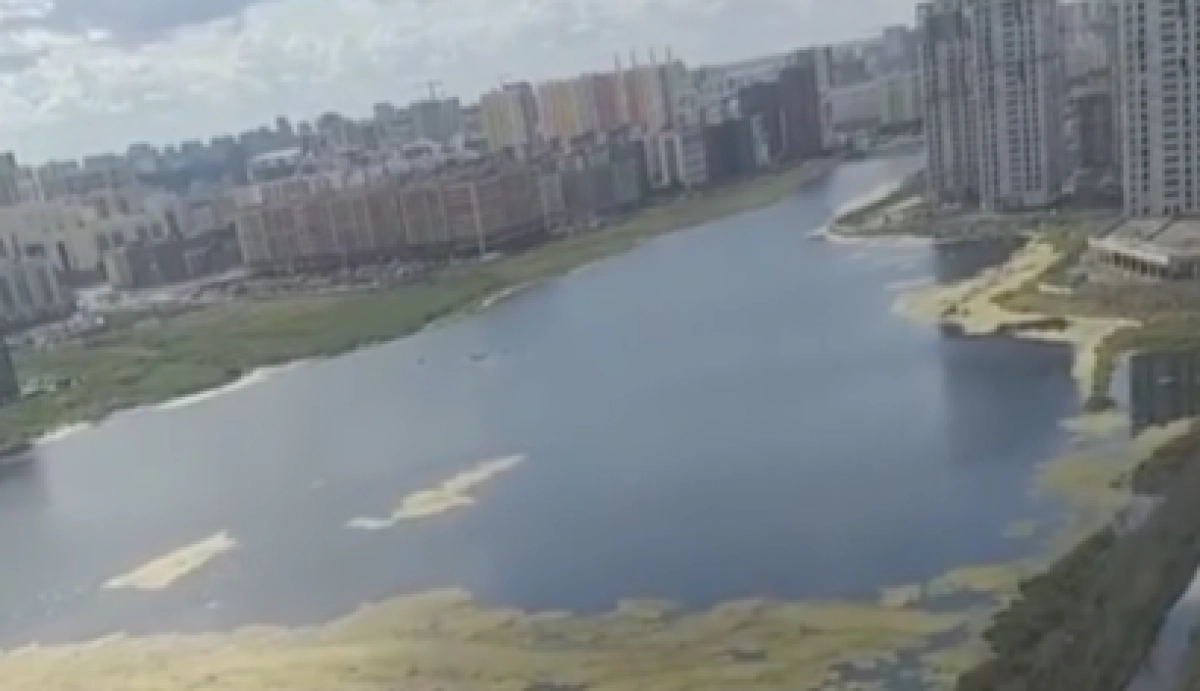 Фото: кадр из видео