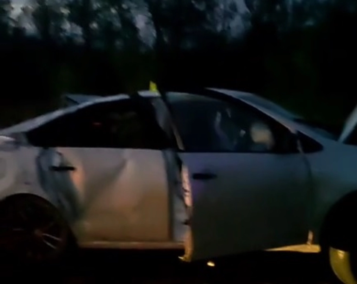 Фото: кадр из видео