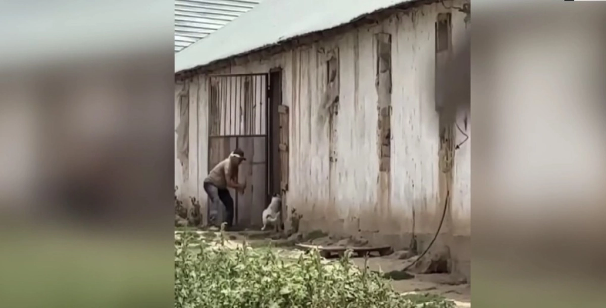 Кадр из видео