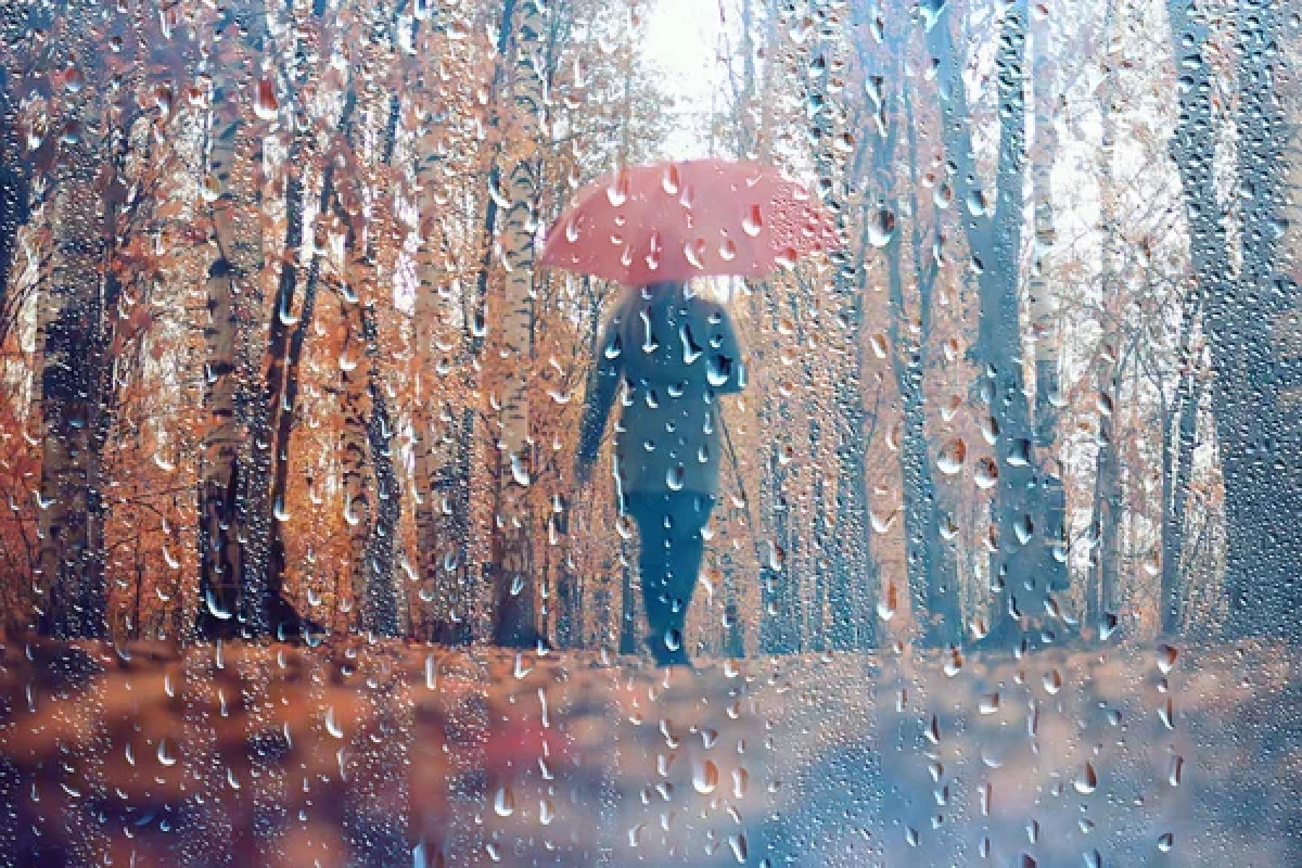 Фото: depositphotos