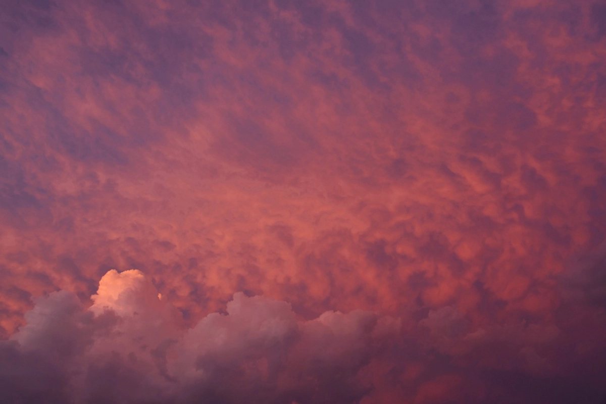 Фото: pixabay.com