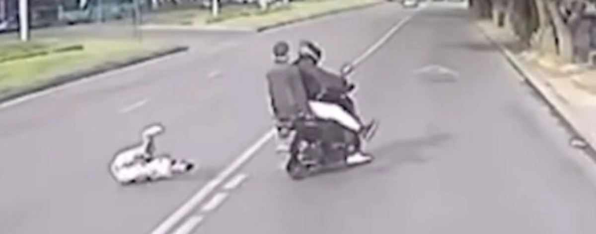 Фото: скриншот видео