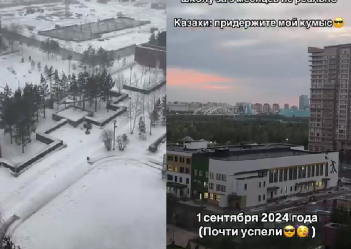 Фото: кадр из видео