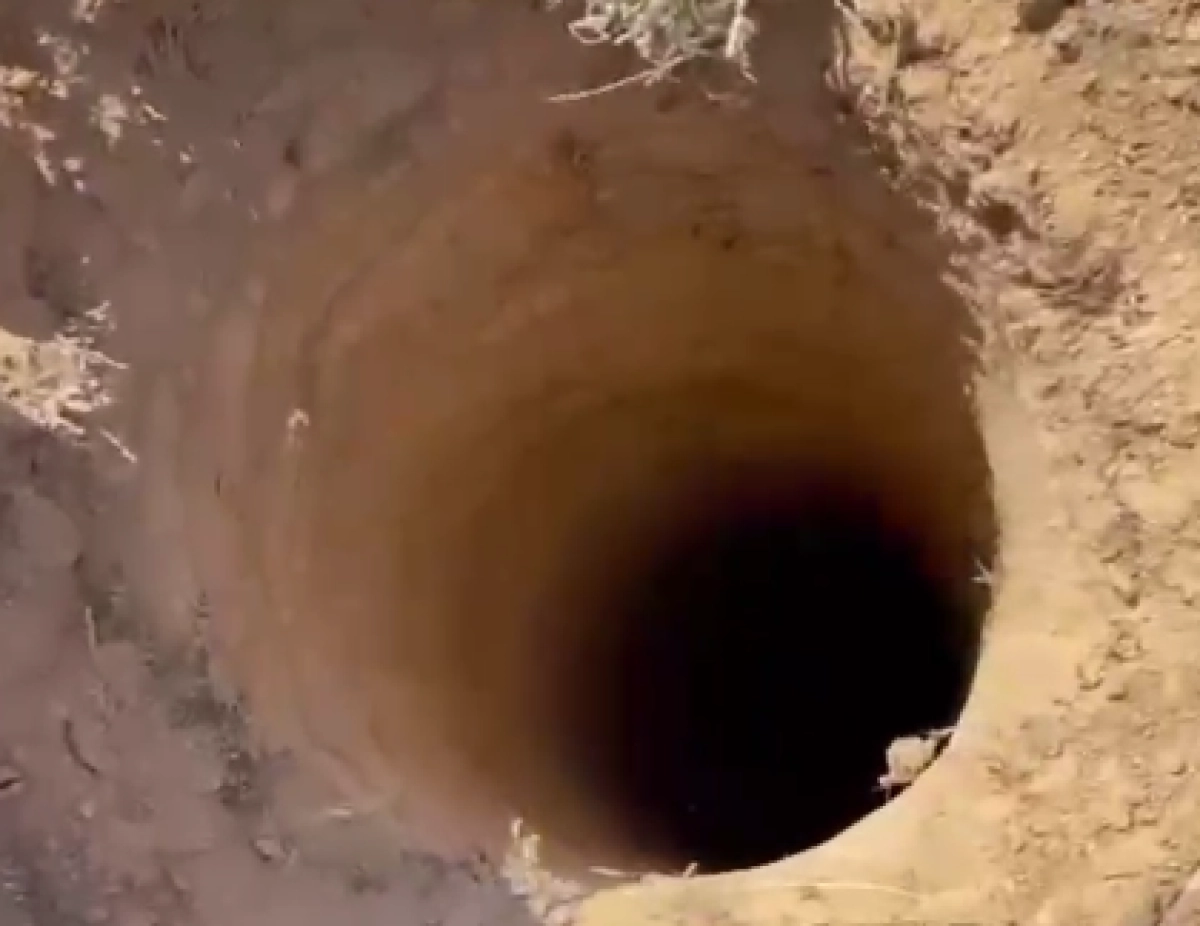 Кадр из видео