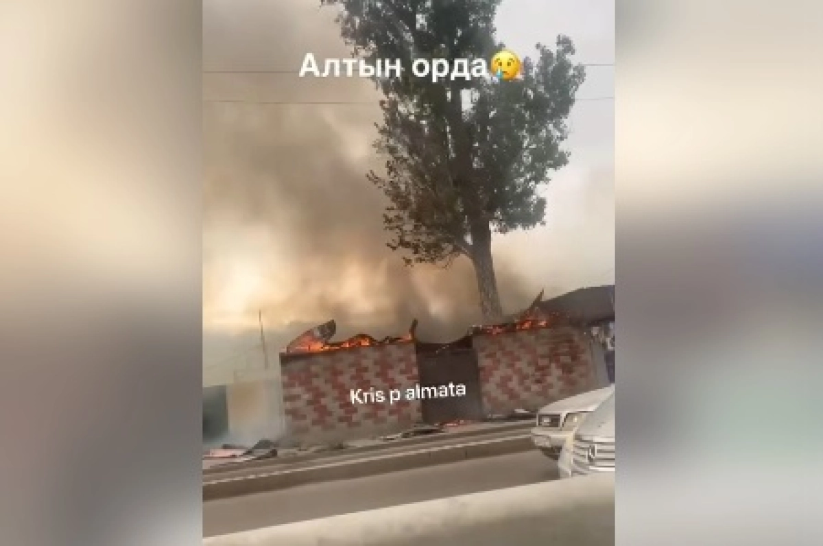 Фото: кадр из видео