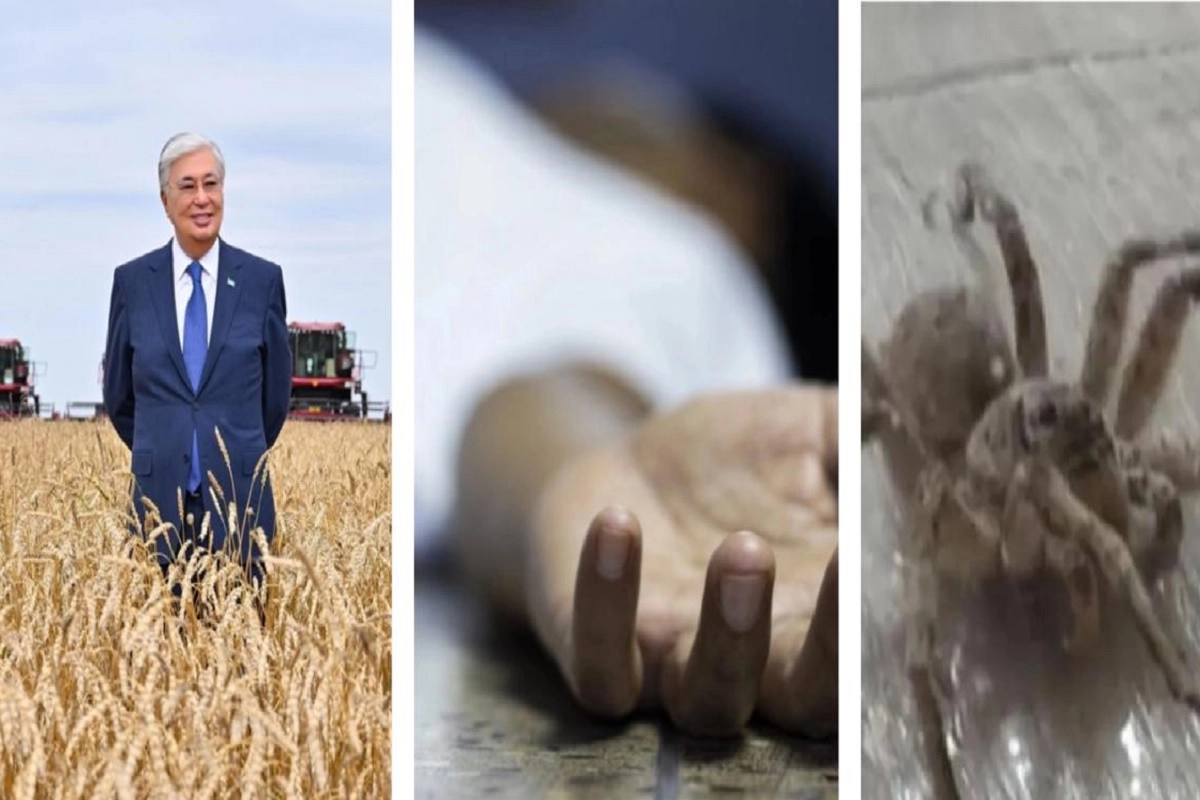 Фото коллаж ИА «NewTimes.kz»