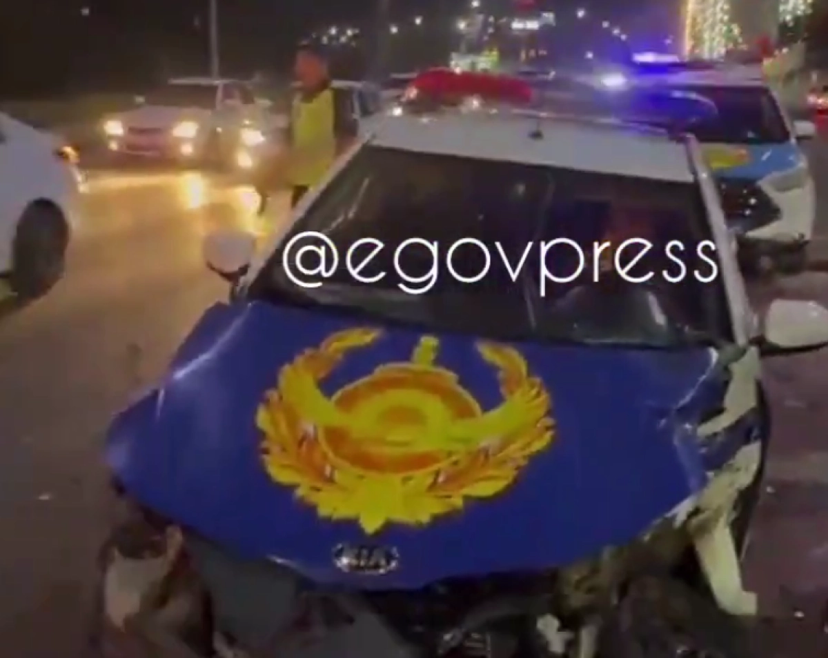 Кадр из видео/ Telegram/ Egov.Press