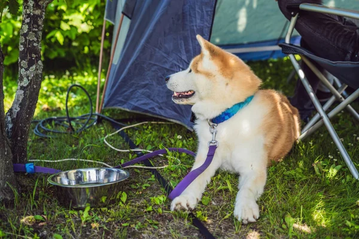 Фото: depositphotos