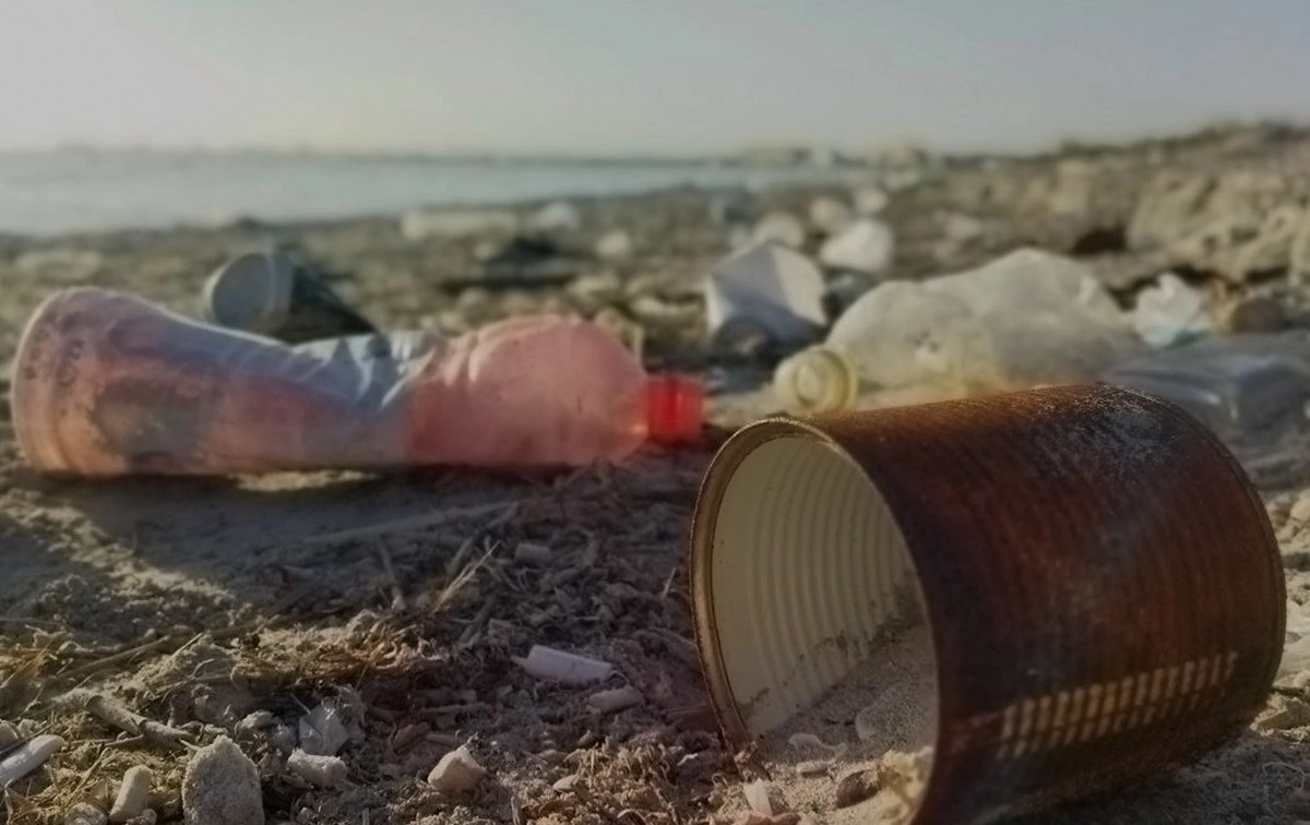 Фото: Сергей Кораблев