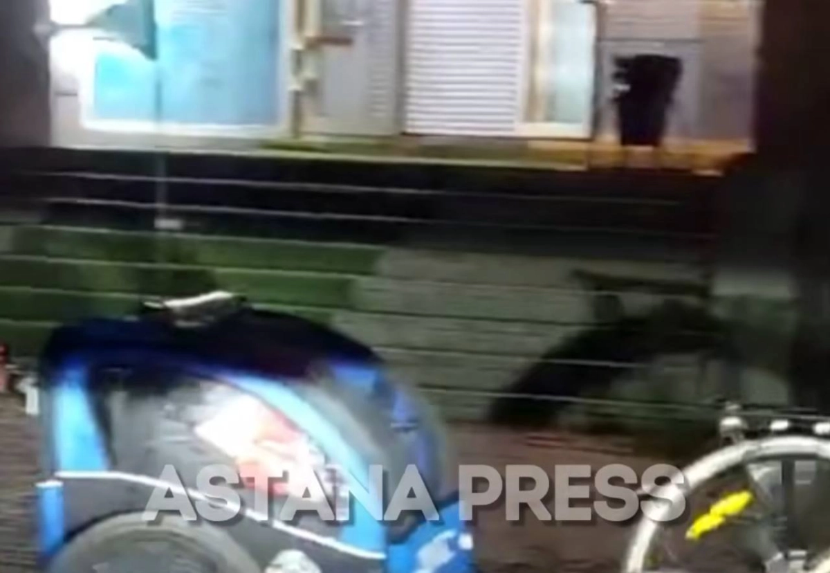 Фото: скриншот видео