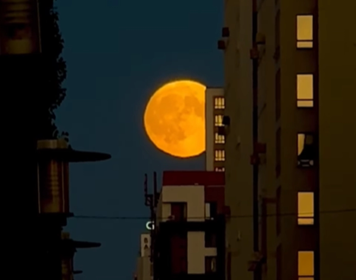 Фото: Instagram / @sxodim.astana