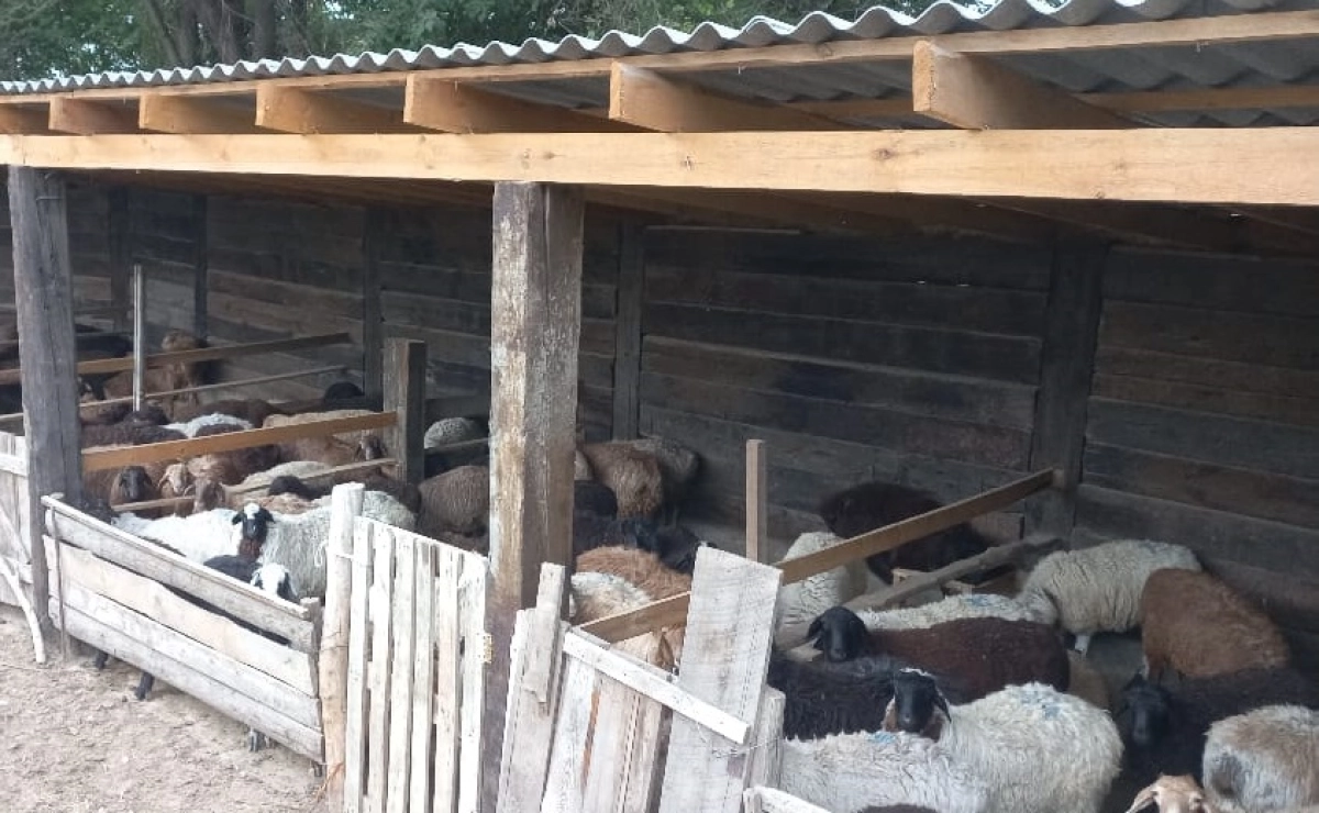 Фото предоставлено спикером