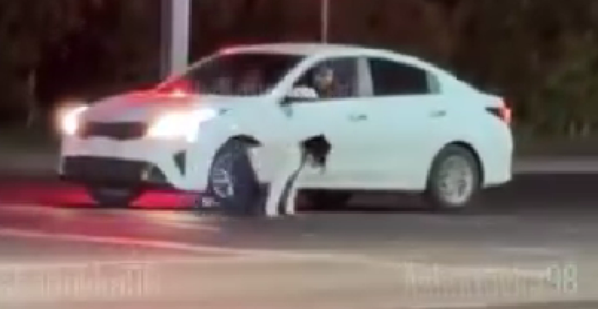 Фото: кадр из видео