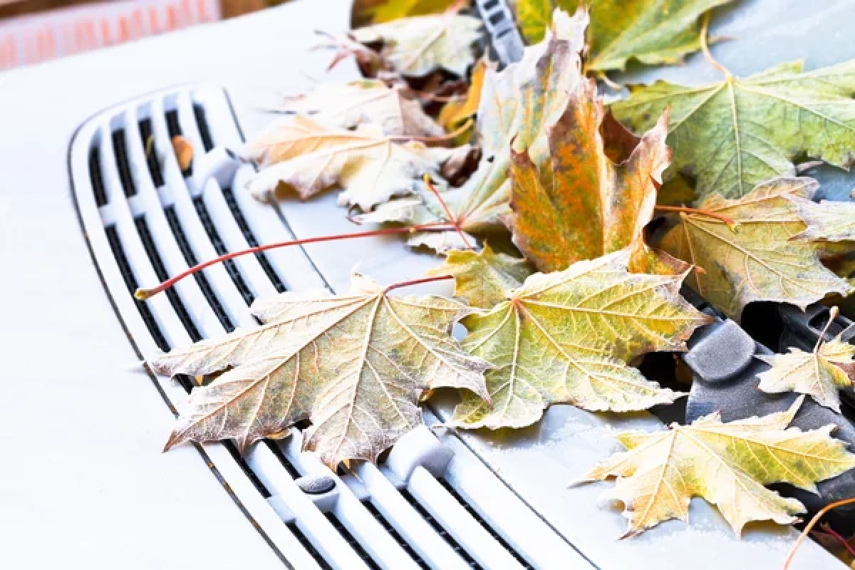 Фото: depositphotos