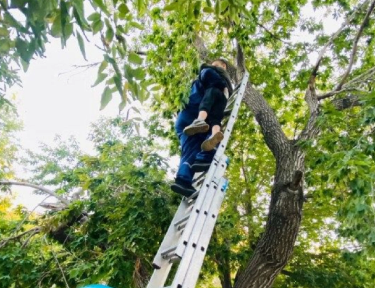 Фото: пресс-служба МЧС РК