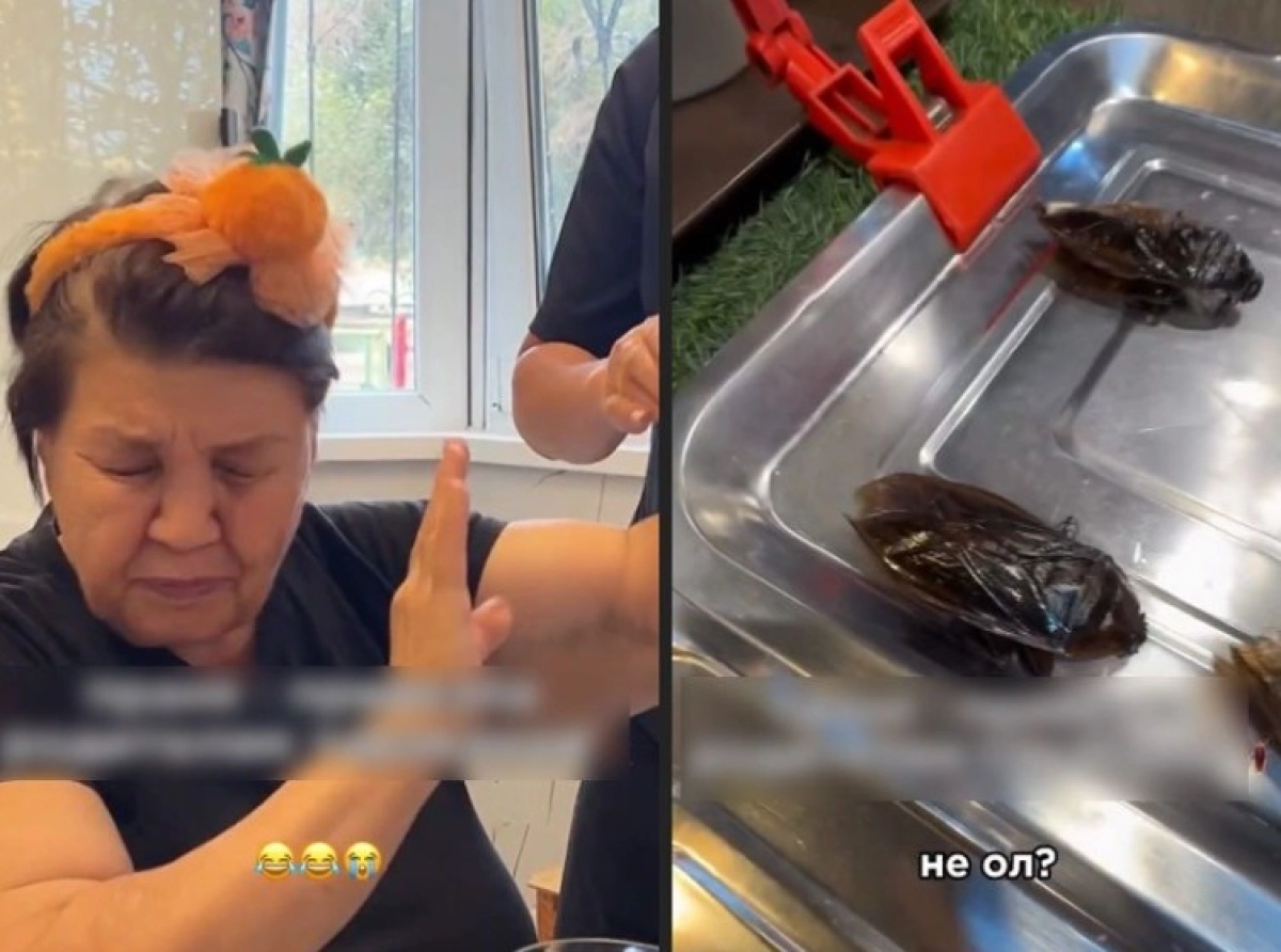 Кадр из видео