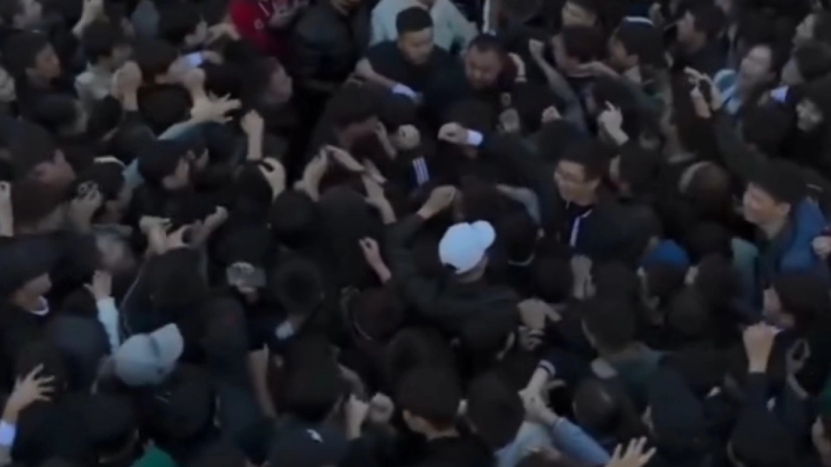 Фото: скриншот видео