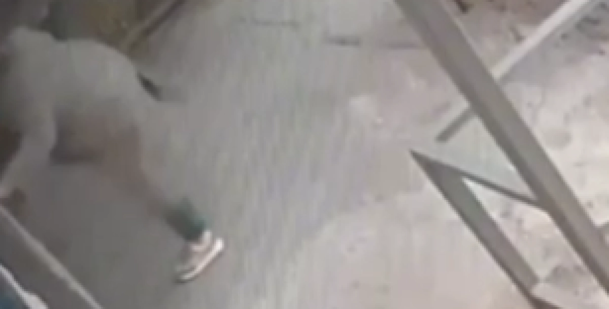 Фото: кадр из видео