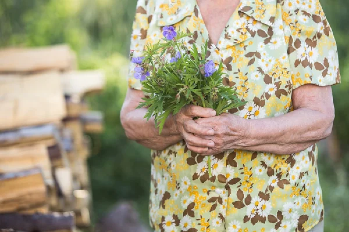 Фото: depositphotos