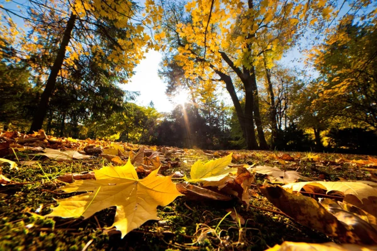 Фото: depositphotos.com