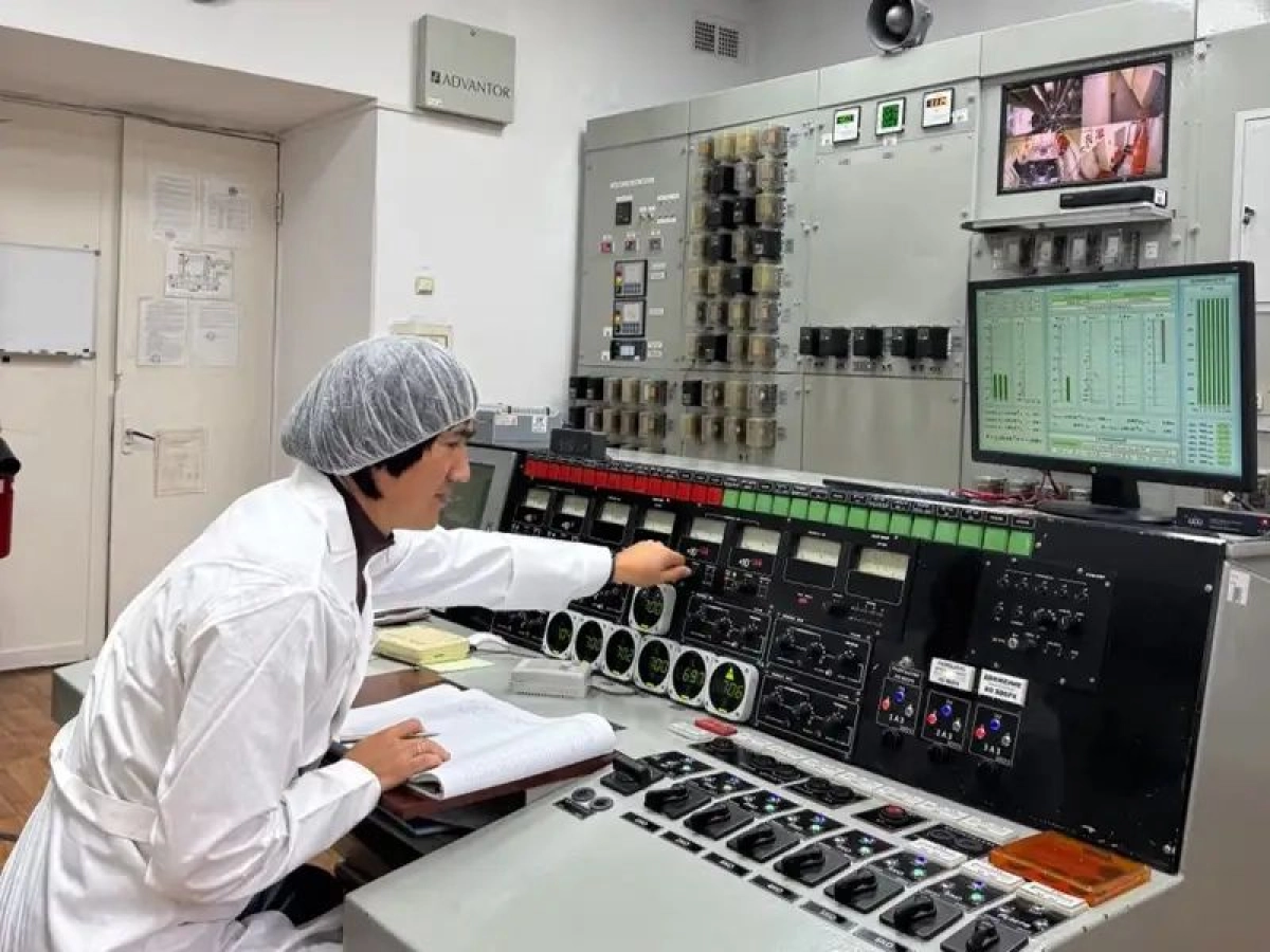 Институт ядерной физики