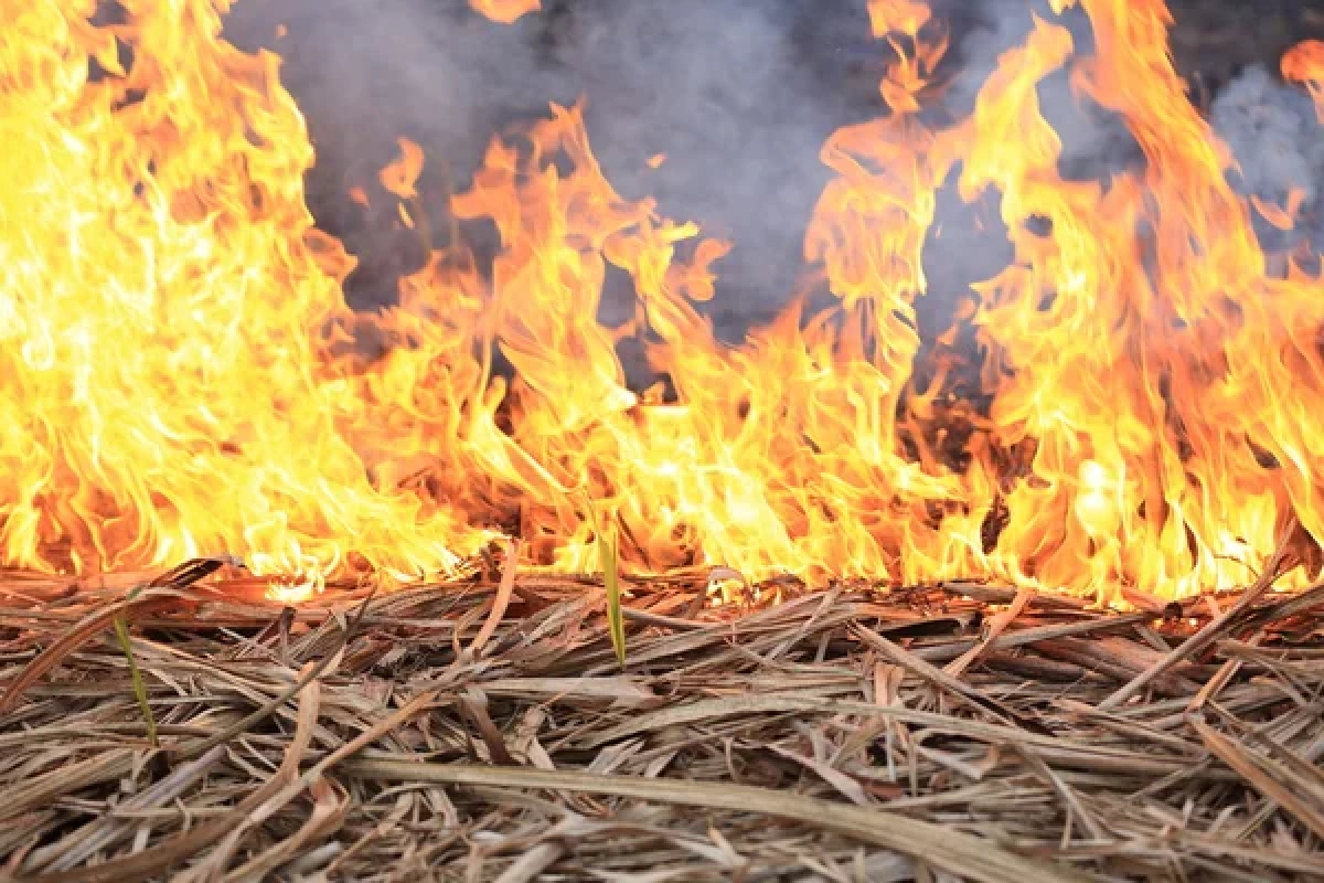 Фото: depositphotos