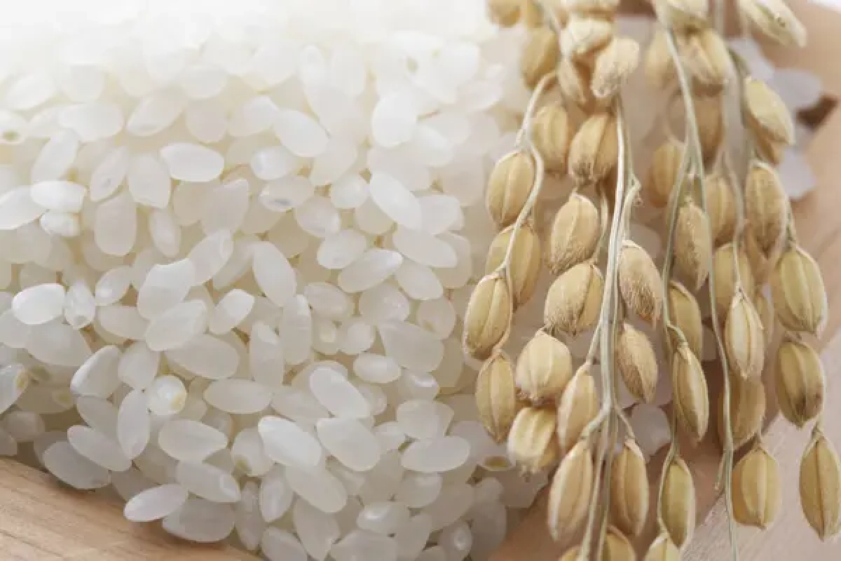 Фото: depositphotos.com