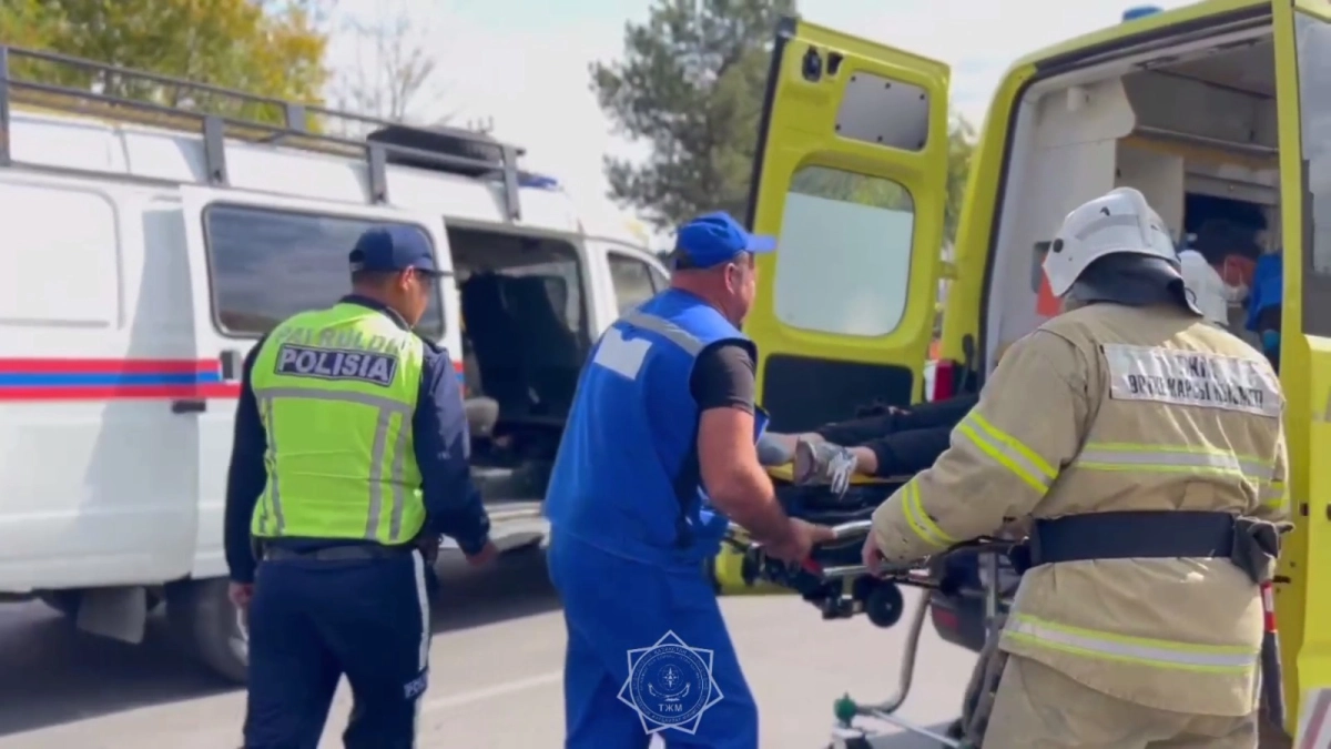 Фото: скриншот видео