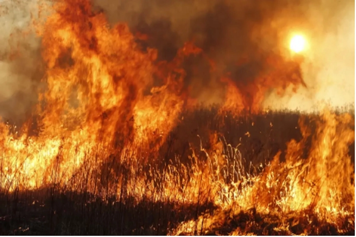 Фото: ekaraganda.kz