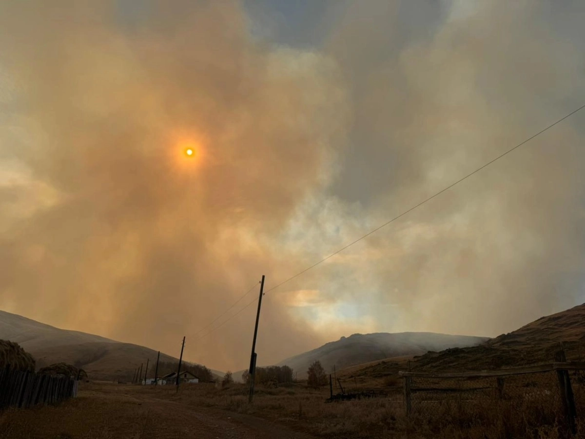 Фото: соцсети