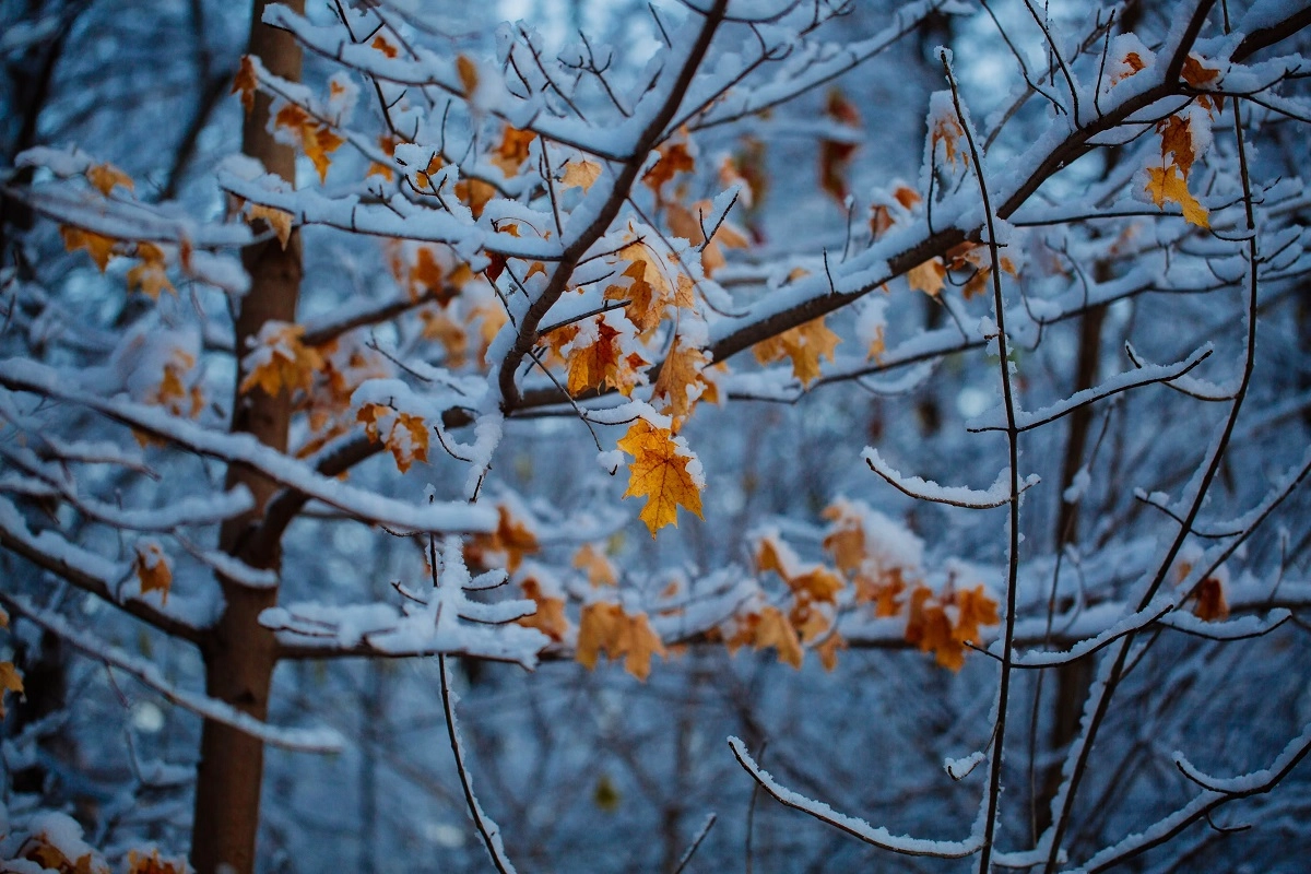 Фото: unsplash