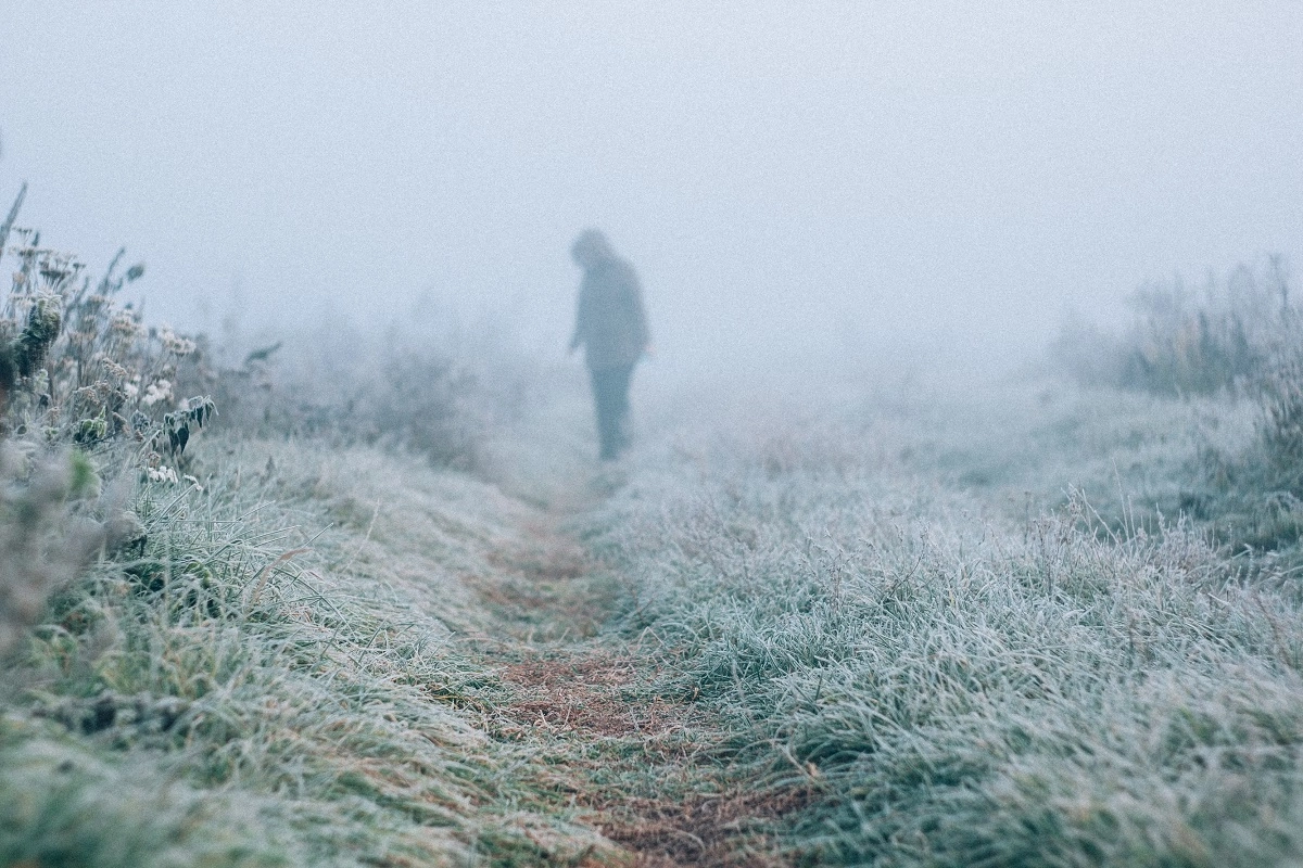 Фото: unsplash