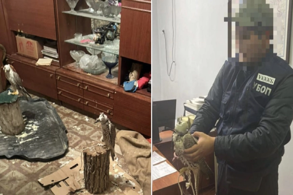 Фото: polisia.kz