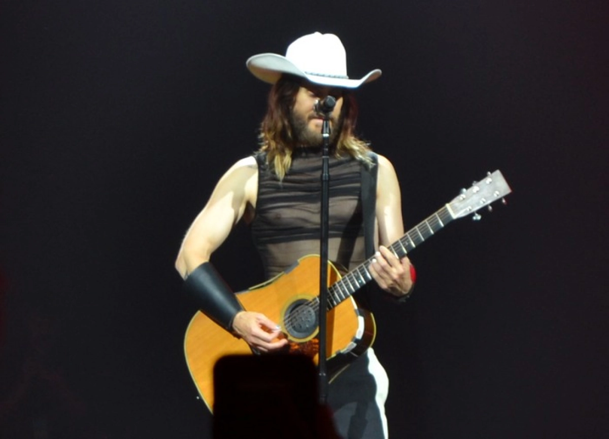 Фото: pikabu/AlfMaxChu