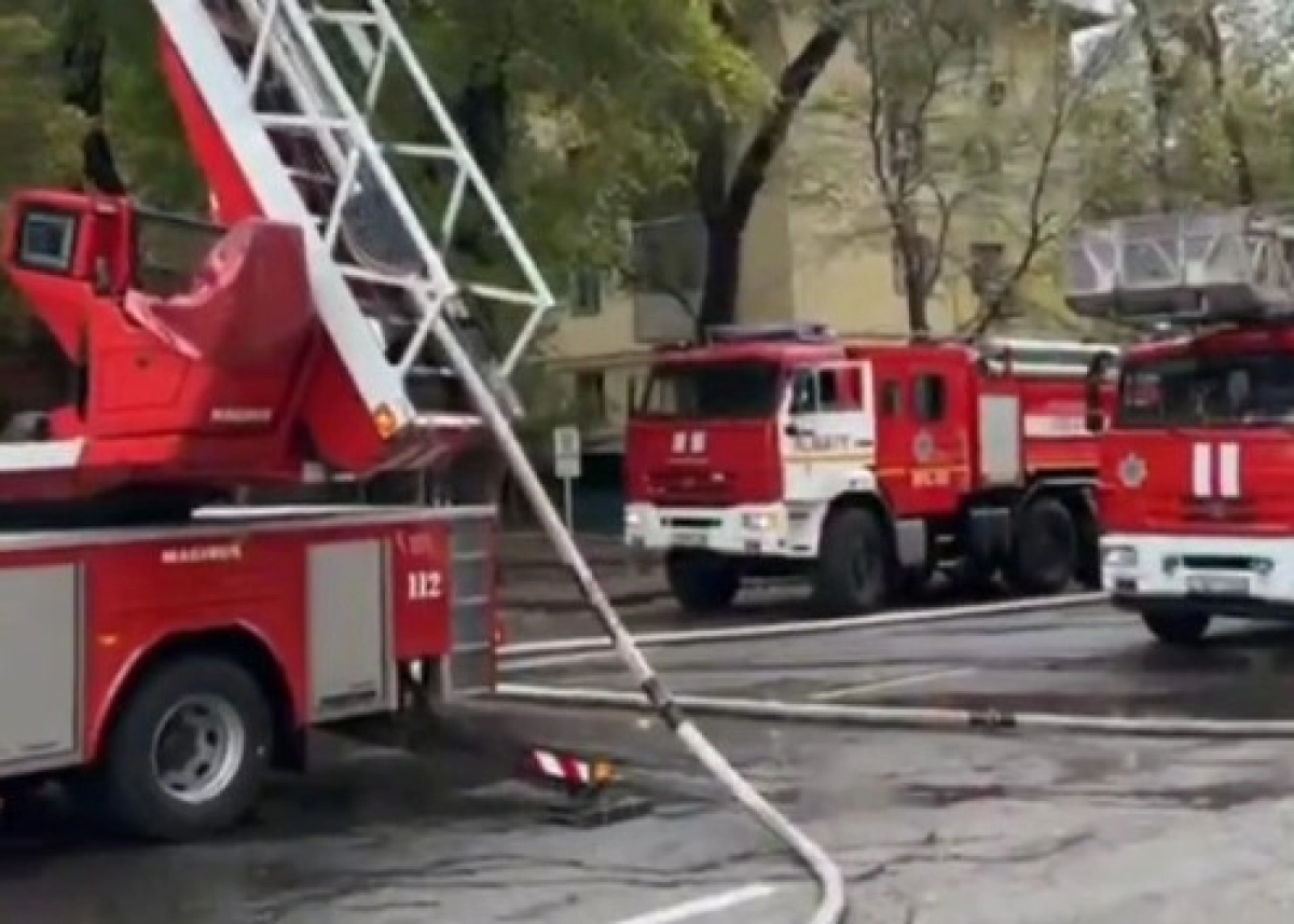 Фото: скриншот видео