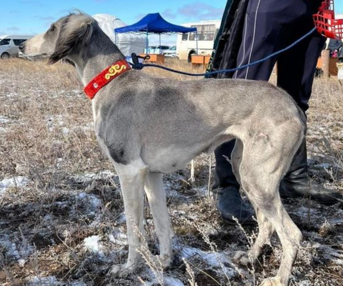 Фото: пресс-служба акимата Карагандинской области