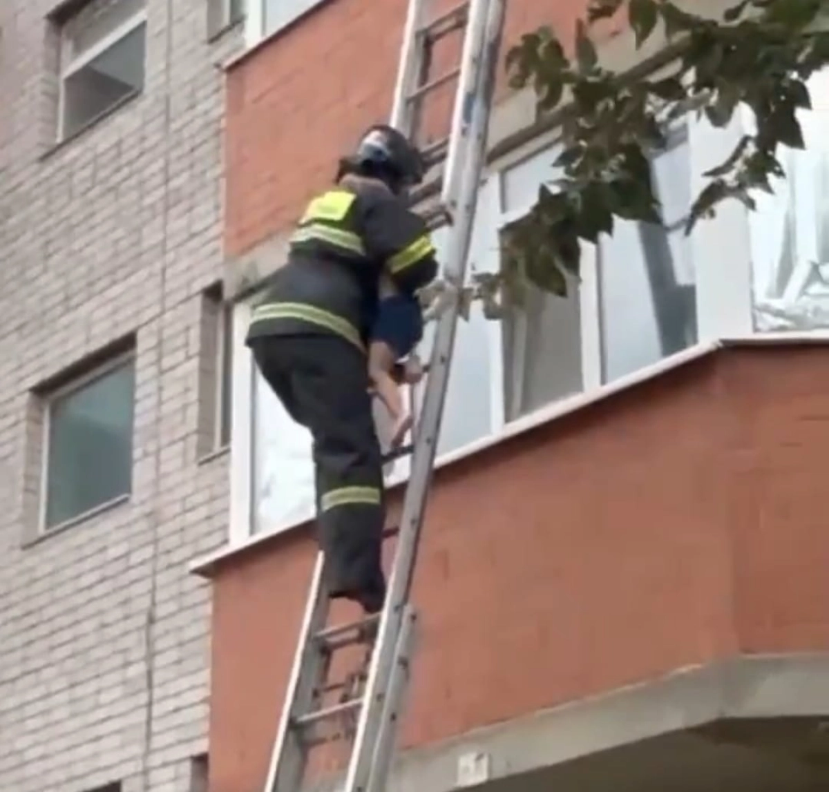 Кадр из видео МЧС РК