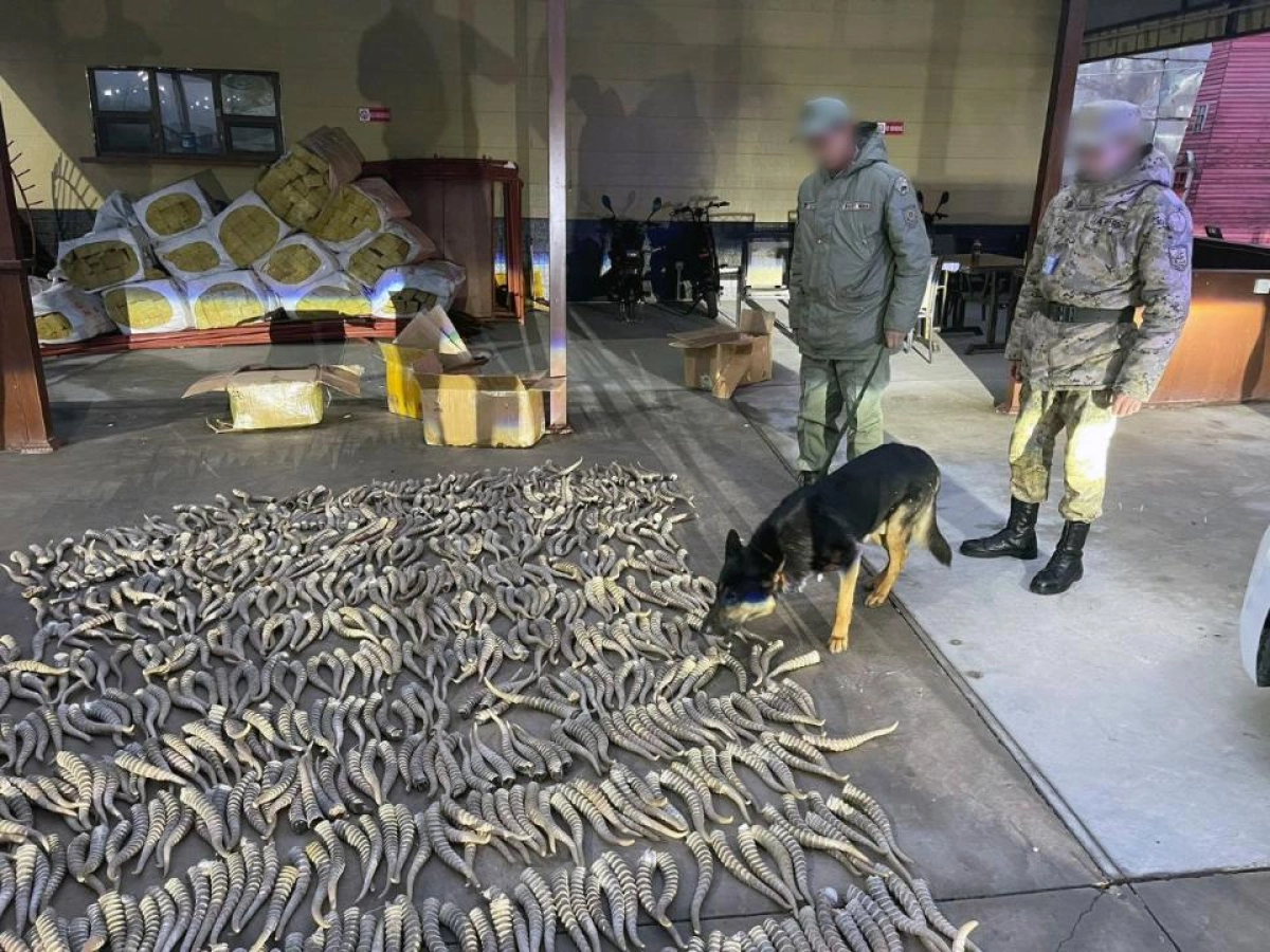 Фото: пресс-служба КНБ РК