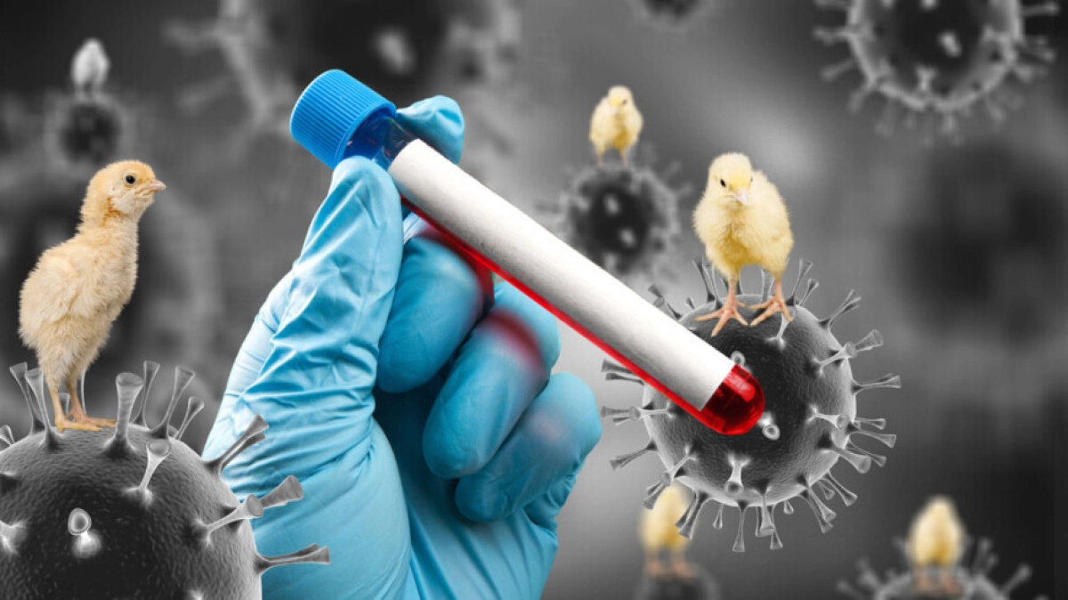 Фото: Shutterstock/FOTODOM