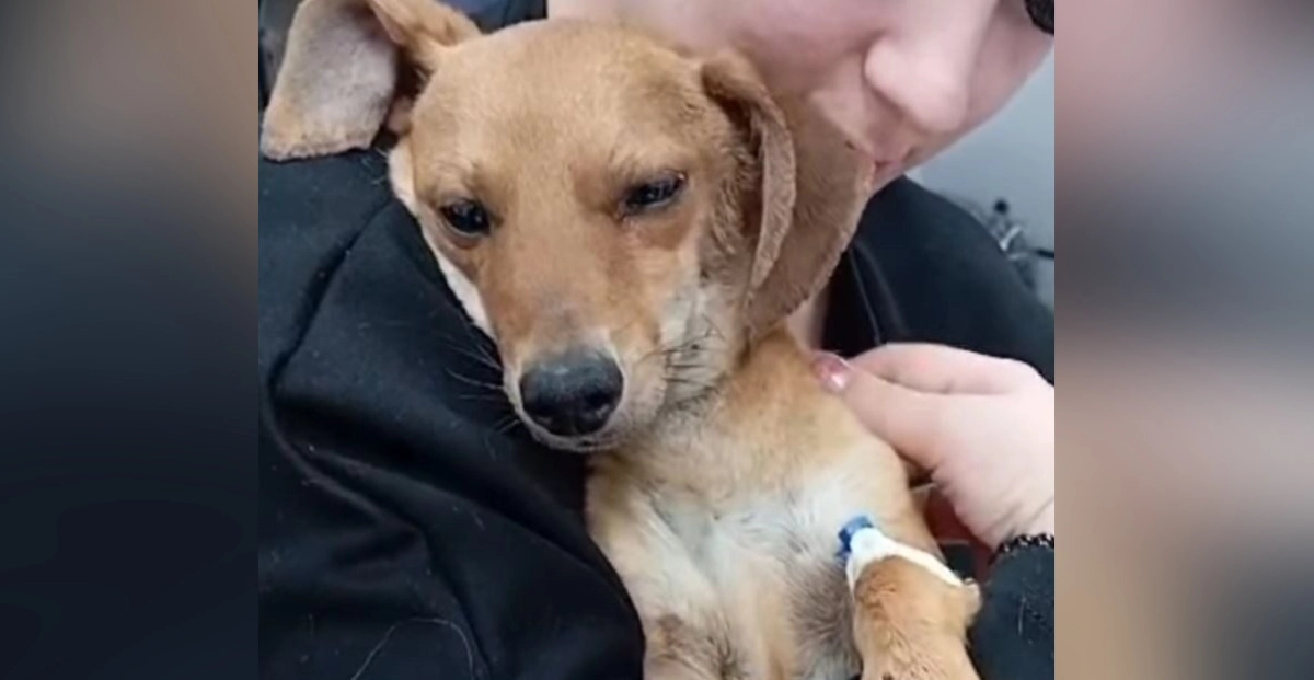 Фото: qaz-media.kz