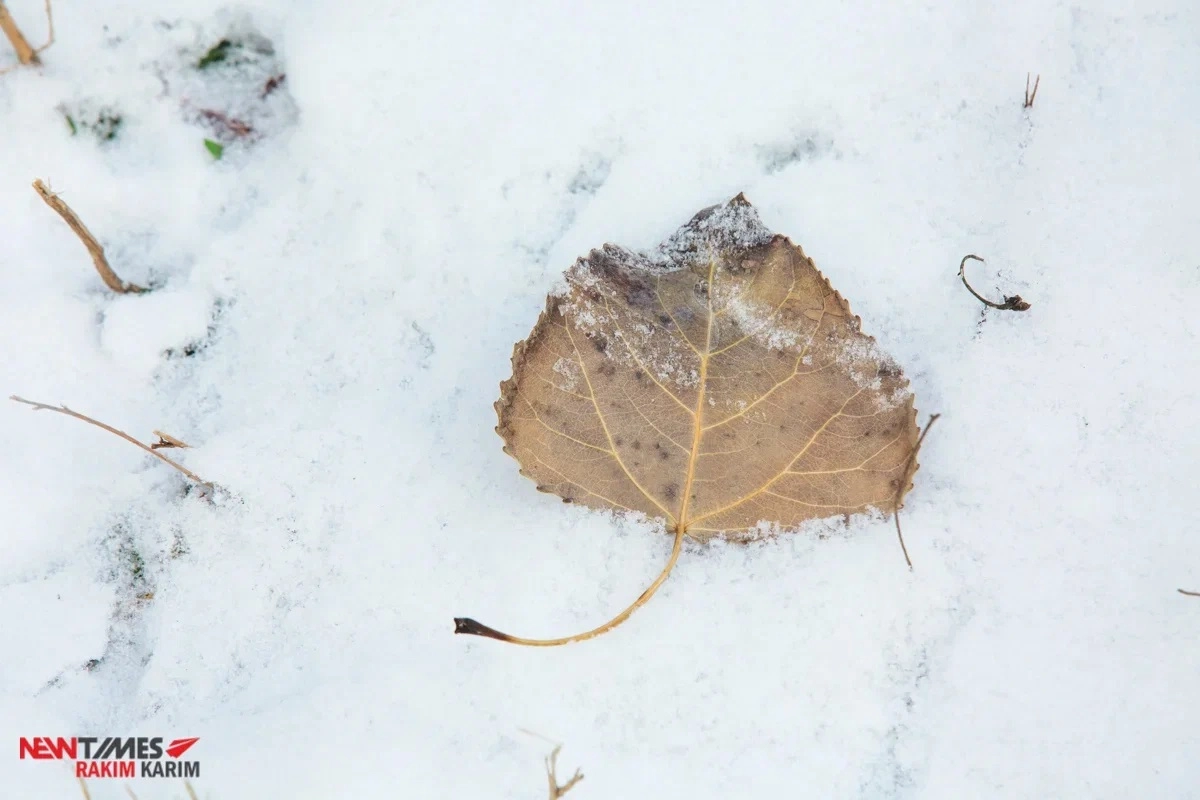 Фото: ИА «NewTimes.kz»