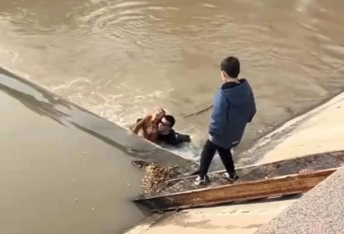 Кадр из видео