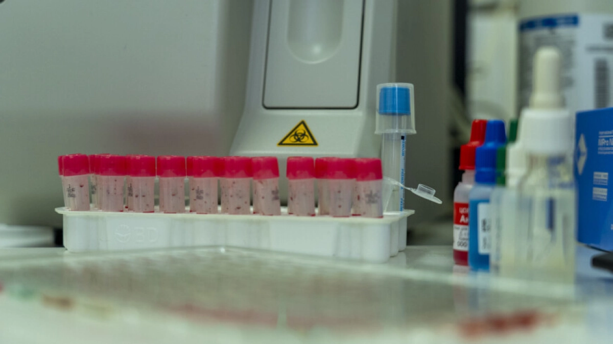 Фото: МТРК «Мир» / Игорь Медведев