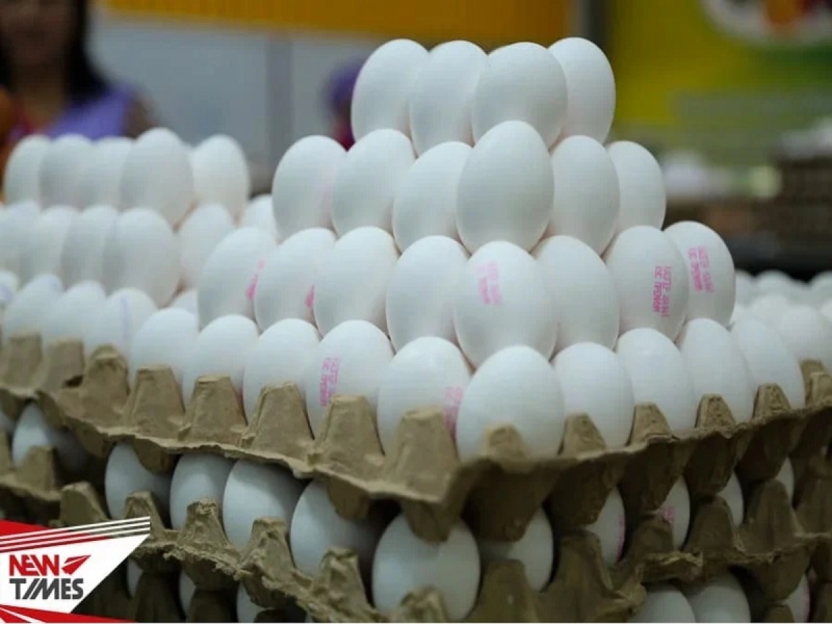 Фото: ИА «NewTimes.kz»