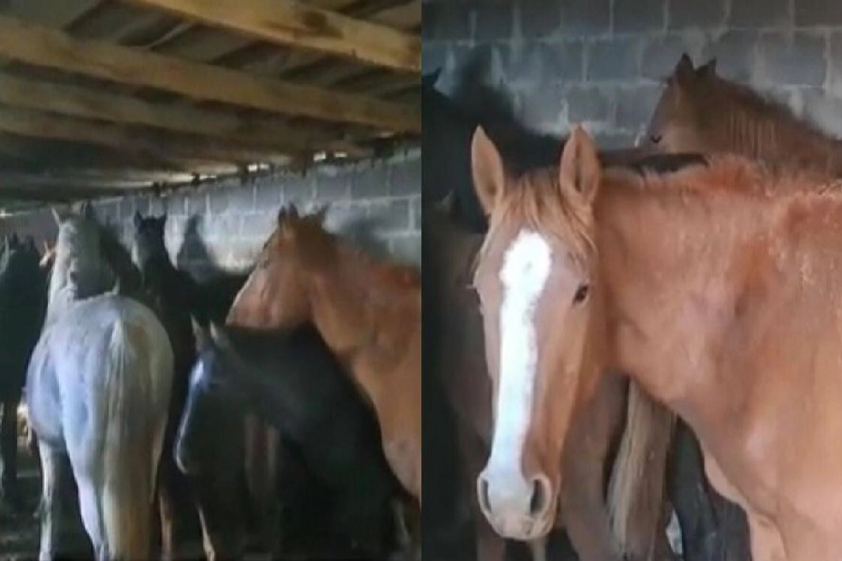 Фото:  Polisia.kz