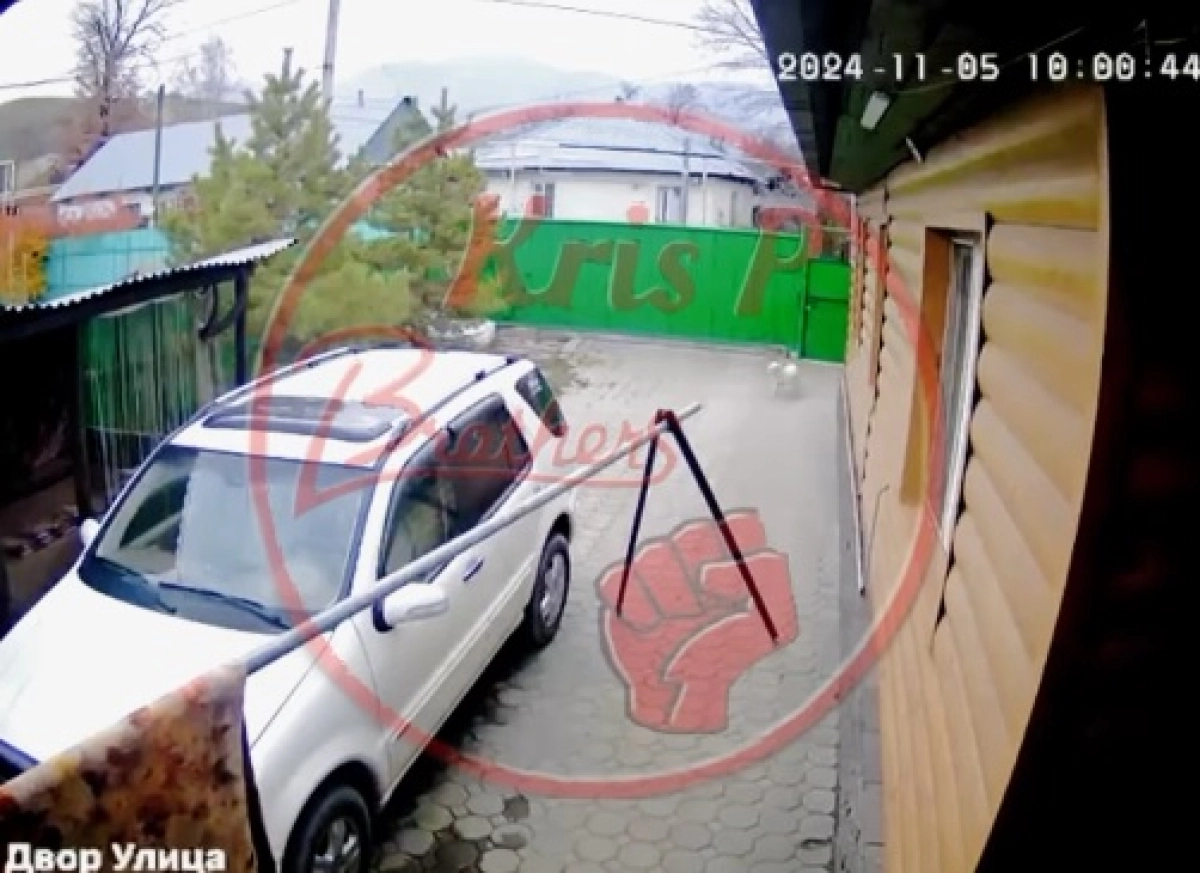 Фото: кадр из видео